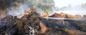 Wooden logs destroyed in blaze at Curtorim saw mill