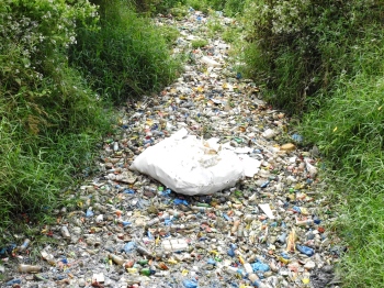Seeing is believing? Team inspects sewage discharge