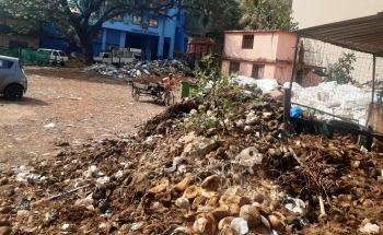 MMC struggling to clear coconut waste; mound taking shape at Old fish market