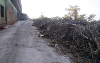 Machine installed to handle garden waste in dire need of repairs