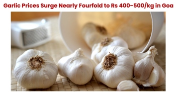 Garlic Prices Soar in Goa, Hitting Restaurants and Vendors