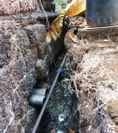 HC directs Margao municipality to seriously deal with untreated sewage water flowing into drains