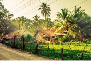For Goans, Goa is the place to be