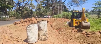 Trees to be protected during Calangute-Nagoa road widening: Lobo