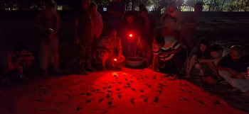 103 turtle pits now at Agonda TRC, 33 in Galgibaga