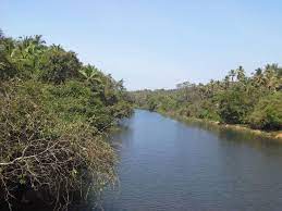Govt acts against fish pond owner for contaminating river