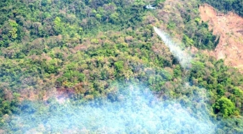 Forest Dept. releases SOP to prevent forest fires during festive visits