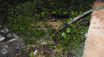 Locals catch Tourism dept toilet block contractor red-handed discharging sewage into Colva creek