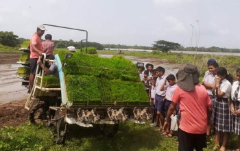 Salpem lake farmers to double area under paddy cultivation in coming season