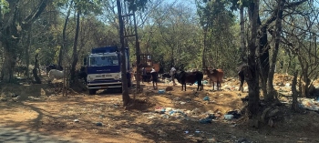 Shifting wet garbage outside Dumane GTP messes Canacona-Agonda road