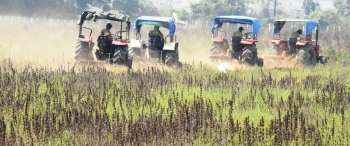Farmers target to cultivate 2.5 lakh sq mtrs at Salpem