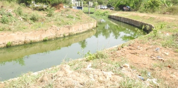Margao sewage water continues to flow in Salpem lake