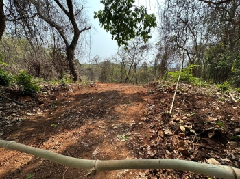 Old Goa local halts road construction in private property near Monte Chapel