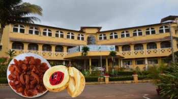 ICAR-CCARI Goa's 'Nutmeg Taffy' invention granted patent for innovative culinary creation