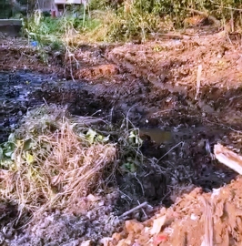 Farmers cry foul as discharge of sewage water flows into fields at Salpem lake