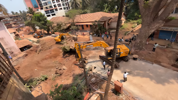 Outcry over haste removal of historic Banyan Tree at St Inez