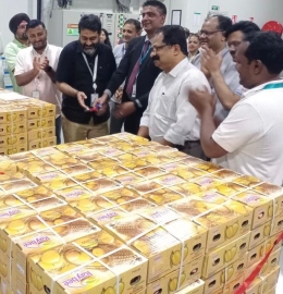 First 1-tonne mango shipment from Mopa airport sent to Muscat