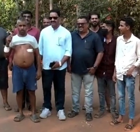 Monkey on attacking spree hoodwinks 40-member forest team in Canacona