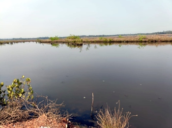 Neura Khazans flooded despite bundh repairs