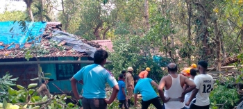 Strong winds cause trees to collapse in Pernem