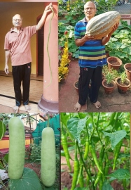 Aquem man creates record with longest drumstick