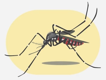Health Services face big monsoon test as dengue threat looms