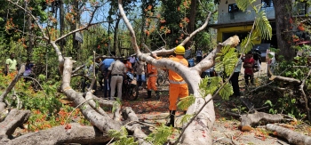 Rider injured as strong winds, unseasonal rains hit Bicholim