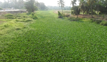 River Sal not de-silted till date