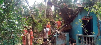4 hurt as tree falls on house in Borim