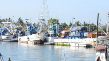 Is fishing ban solution to sustainability?