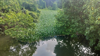 Stalled Mapusa River dredging plans leave Guirim vulnerable