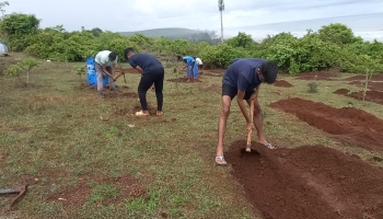 195 rainwater harvesting trenches dug in Mandrem