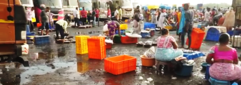 All eyes on SGPDA meeting to resolve sopo fee issue at wholesale fish market