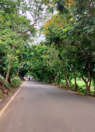 Calangute constituency undergoes Rs 10 cr road improvement works