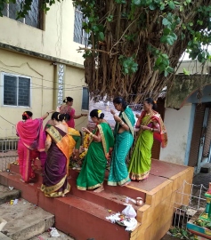 Vadachi Punav: Festival of Banyan tree