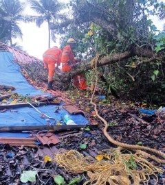 Tree falls on house in Margao