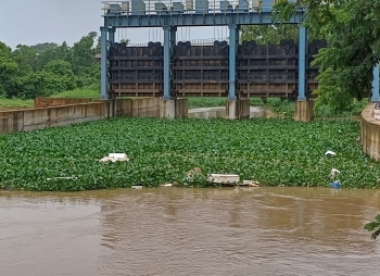 Who's to blame? Thermocol waste in River Sal flies in face of HC order