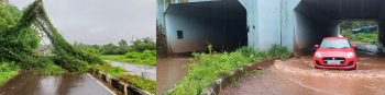 Seraulim Subway flooded, road blocked by fallen tree