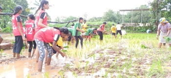 Seminarians, community gather for annual sowing at Rachol