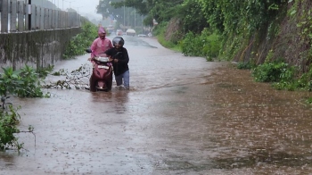 Tree collapses, flooding cause widespread disruption in Bardez