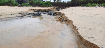 Sand erosion at Benaulim beach