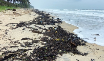 Dry waste washes ashore on Benaulim beach