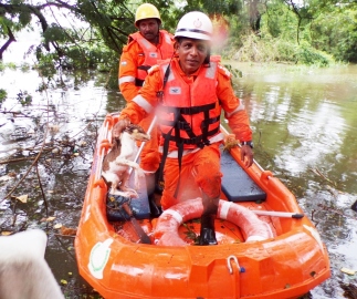 Margao firefighters rescue stranded dogs