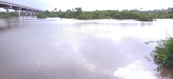 Salcete farmers, officials fear heavy losses due to rain
