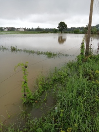 Guirim devastated by heavy rains, farmers demand government aid