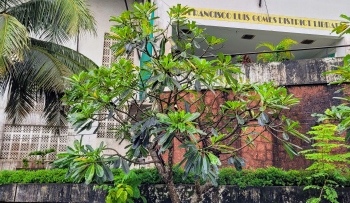 Neglect of prestigious library