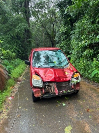 Tree falls on moving car, family escapes unhurt