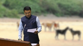 Policy to tackle stray dog menace soon: CM