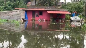 Flooded Comba sees catfish invasion amid rising waters