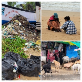 Go, Goa, Gone